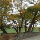 고지2리경로당 이미지