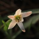 봉황산 공원 이미지