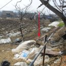 선원면-7 이미지