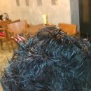 J hair(제이헤어) 이미지