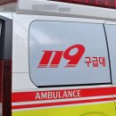 무릉도원면-50 이미지