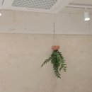 메리먼트 이미지