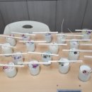 왕궁중학교 이미지