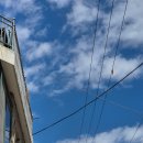 트리트멍트 이미지