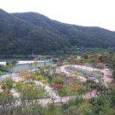 강변오토캠핑장1 이미지