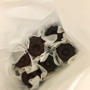 브라운 펫살롱 이미지