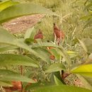 김부자농장 이미지