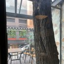 더훈 네이버블로그