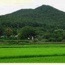 종천초등학교 Daum카페