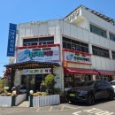 제주도 서귀포 현지인 맛집 추천 네거리식당 후기 (갈치조림과 생선구이)