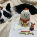 이야(YIYA) 이미지