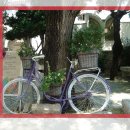 풍세당구장 | 올해 처음으로 지은 밤밥입니다 올해 흥행과 비평 양쪽에서 좋은 성과를 거둔 작품입니다