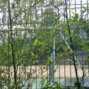 천내초등학교 이미지