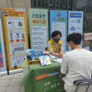 정평천 이미지
