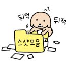돌머리 체험마을 편의점 이미지