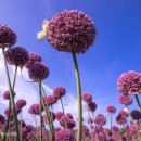 부흥 마을회관 이미지