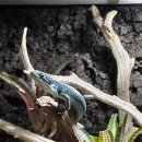 어반네이처 이미지