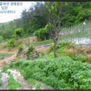 무주읍197 이미지