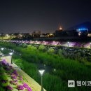 봉남천 이미지
