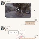 꽁냥파파 이미지