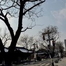 인생샷 보장! 제대로 즐기는 전주한옥마을한복대여 경험 후기요