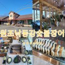 낙동강장어 | 당진장어맛집 원조낙동강숯불장어 가족 외식 장소로 추천