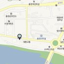 어도러블독 이미지