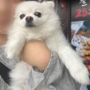 봉곡로-12 이미지