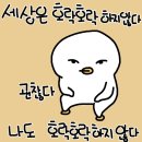 졸업 전시 후기🤍