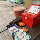 육림 | 19개월 아기랑 춘천 육림랜드 다녀온 후기/동물먹이주기/무료 고구마 나눔까지