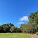 능곡 | [시흥/뷔페] 고메스퀘어 시흥장현능곡점 후기 - 초밥도 디저트도 만족!