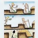 동서전자 이미지