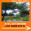 경기도 광주 벌목업체 나무 가지치기 후기