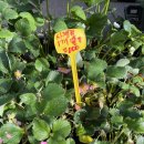 동해종묘사 이미지