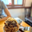 사람과나무 이미지