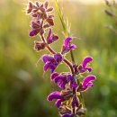 상동LPG충전소 이미지