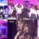 청춘바다 이미지