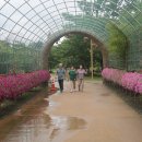 주남오리알 이미지