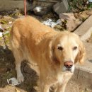 연지카센타 이미지