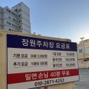 장원약국 | 부산 주례동 밀면 맛집 [장원육전밀면] 내돈내산 솔직 후기!!