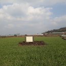 일과리 지석묘 이미지