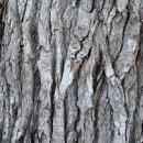 송담1로 이미지