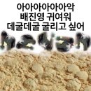 진영우유