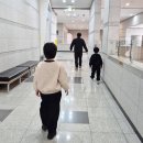 무령왕릉 | 무령왕릉 유물있는 국립공주박물관 방문후기