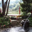 정자나무민박 이미지