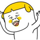 B&B(바비브라운 비숑프리제) 이미지