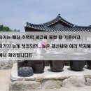 이진우법무사사무실 네이버블로그