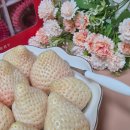 세상 간단한 집에서 맛있는 빵 만들기 | 신데렐라 딸기 협찬 후기｜집에서 즐기는 딸기 모찌 &amp; 식빵 딸기 롤 만들기 🍓