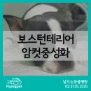 광희동물병원 이미지