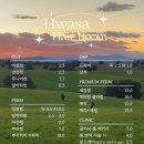 화사헤어 네이버블로그